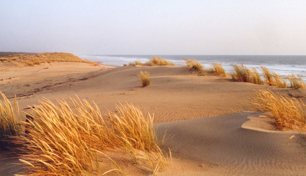 photo dune iles